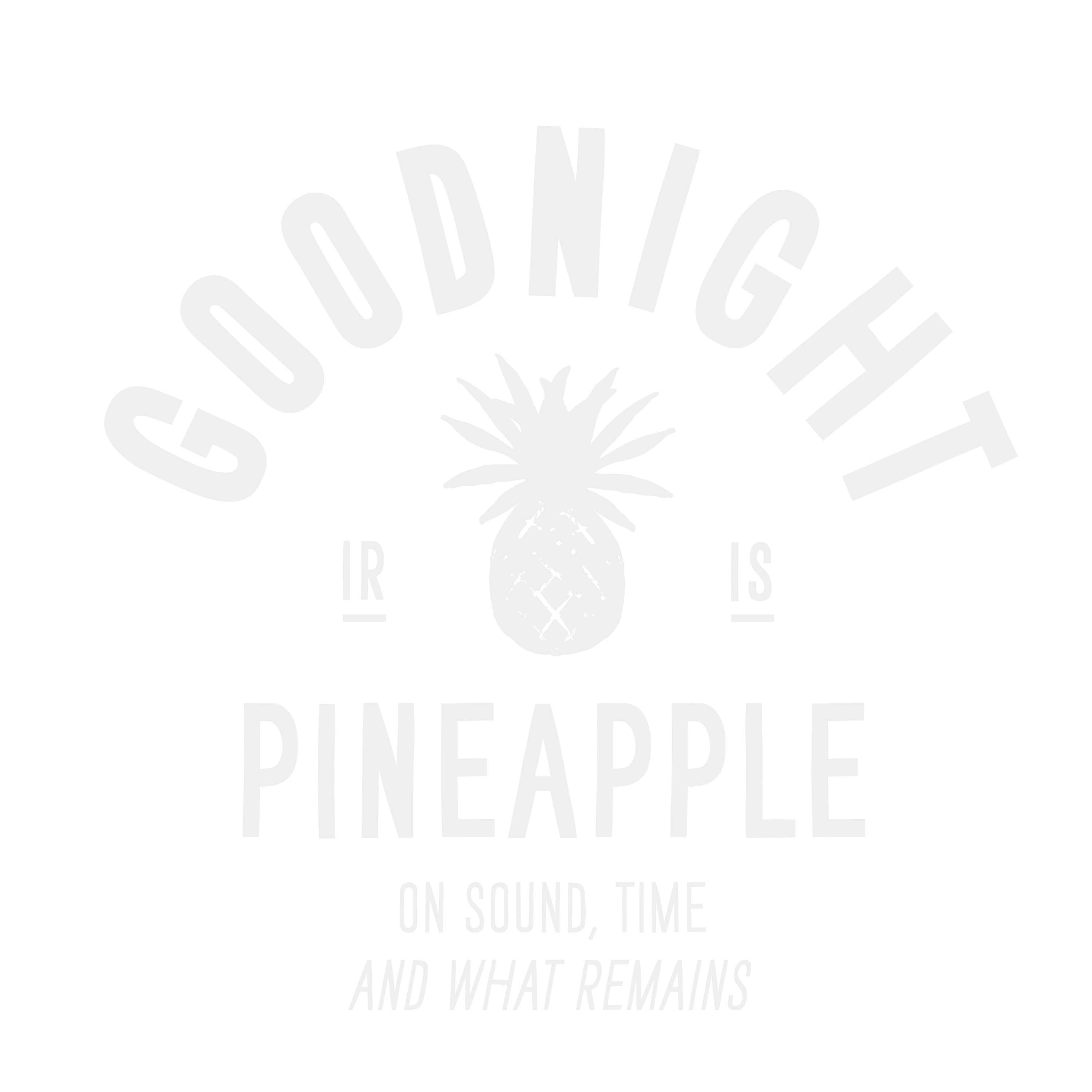 GOODNIGHT PINEAPPLE — On sound, time and what remains